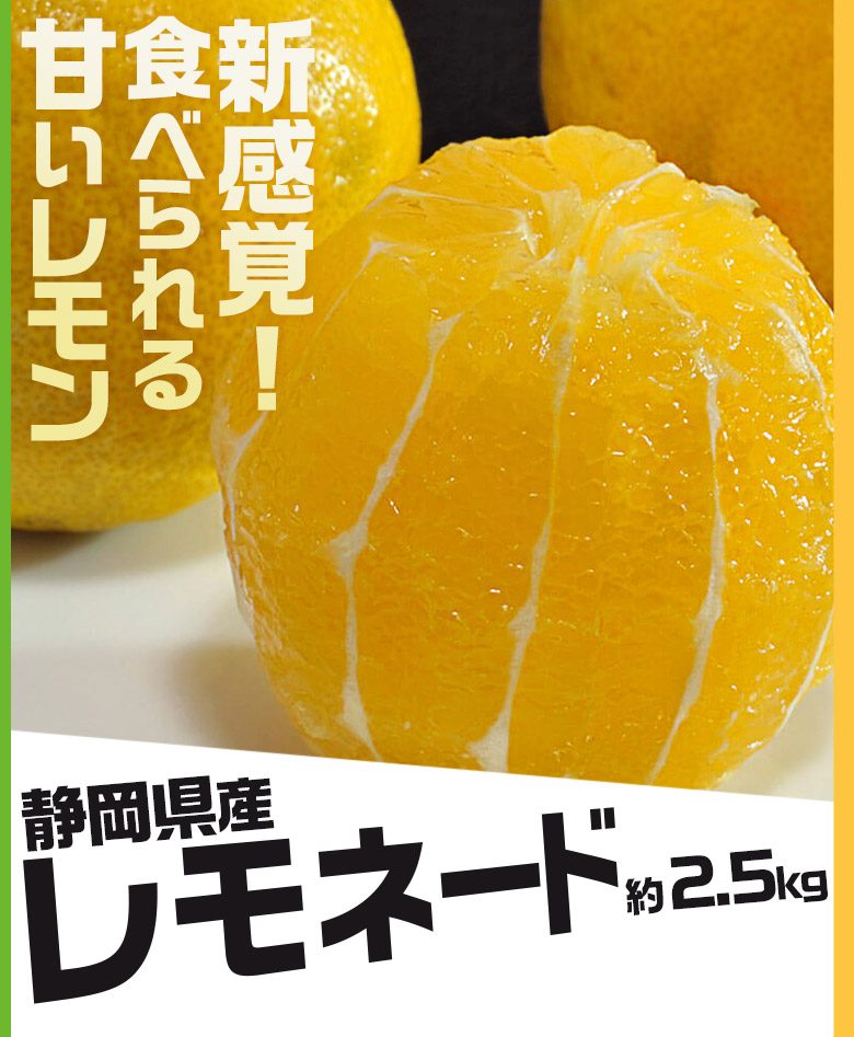 【2/23から出荷開始】 静岡県産柑橘 「レモネード」 2S-Lサイズ 約2.5kg 簡易箱 ※常温
