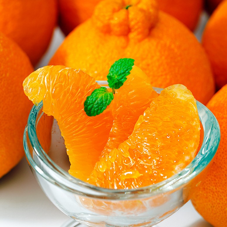 ご自宅用 デコポン 熊本県産 無印 約5kg（18-24玉） 産地箱 ※常温