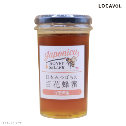 純度100％ 日本みつばちの国産生蜂蜜　250g 千葉県 関東地方 美食うまいもん市場