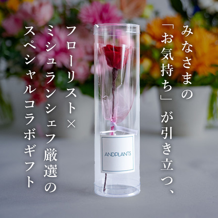 母の日 【花ギフト付】 花盛 牛タン ＆ 黒毛和牛 5種 焼肉セット 280g