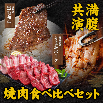  焼肉食べ比べセット 黒毛和牛 豚肉 500g 焼肉セット BBQ 国産 九州産 焼肉 肉 お肉 ウデ モモ 赤身 うまかポーク バラ肉【7-14営業日以内に発送予定（土日祝除く）】