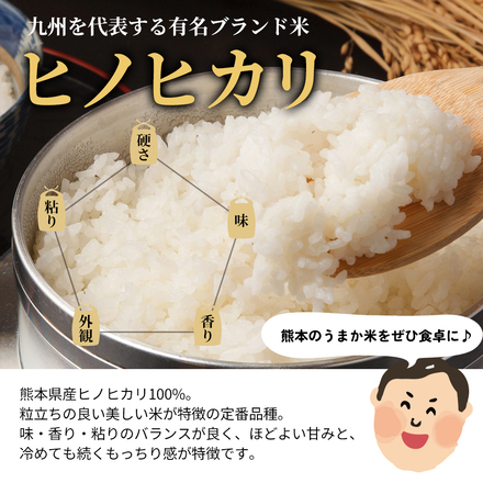 分割配送 【 熊本県産 ヒノヒカリ 無洗米 30kg 】 速攻出荷 令和7年産 1-3営業日以内に発送予定（土日祝除く）
