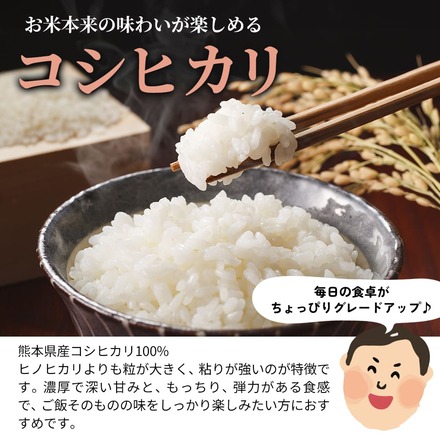 分割配送 【 熊本県産 コシヒカリ 無洗米 30kg 】 速攻出荷 令和7年産