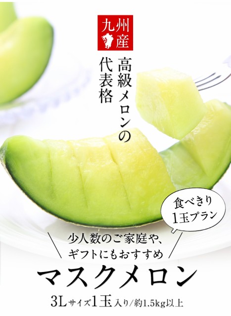 ギフト マスクメロン 九州産 メロン 【一番人気の3Lサイズ】大玉 1玉 約1.5kg以上 熨斗 ご贈答 フルーツ ギフト メロン 高級 のし 《7-14営業日以内に発送予（土日祝除く）（》