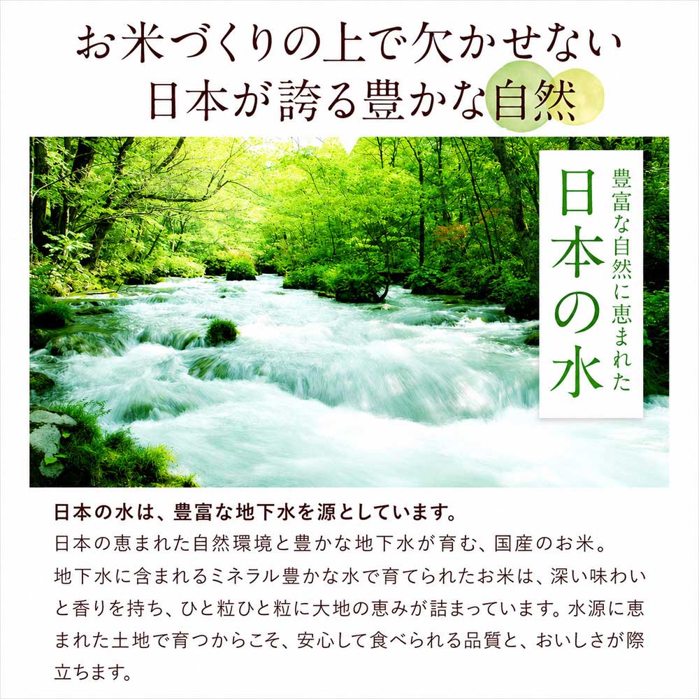 【★最短翌日発送！！★】令和7年産 米 国産 ブレンド ふるさと 無洗米 5kg 精米 国産ふるさと無洗米 非常食 保存食 こめ コメ kome ご当地風土 熊本 1-3営業日以内に出荷予定(土日祝除く)