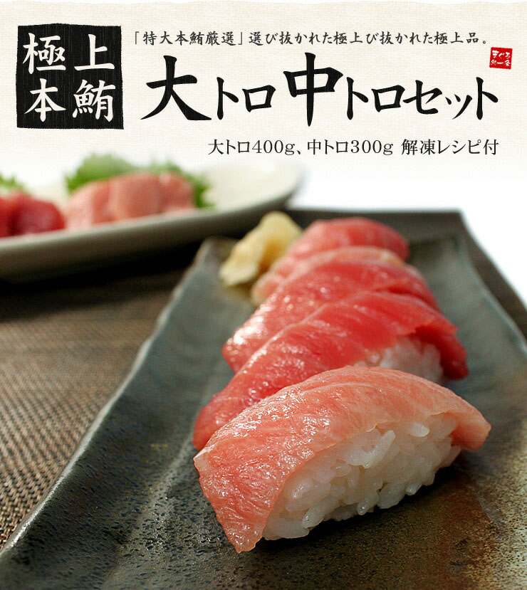 極上本マグロ 大トロ 中トロ セット 700g 6～8人前 解凍レシピ付 [大中セット-2p]