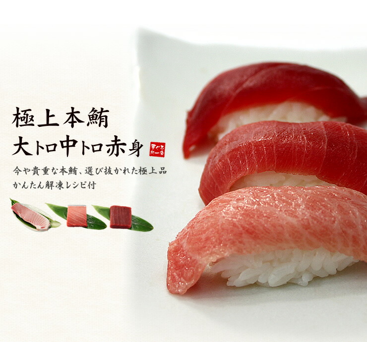 本マグロ 大トロ 中トロ 赤身 500g 解凍レシピ付 [大中赤セット]