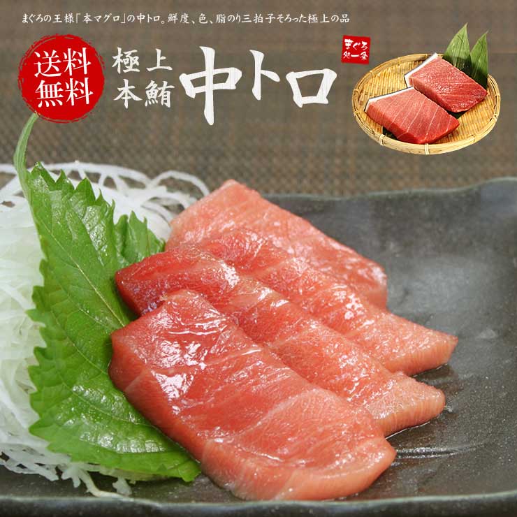 本マグロ 中トロ 600g 解凍レシピ付 [中トロ300-2p]