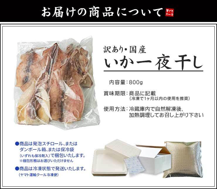 訳あり 国産 スルメイカ一夜干し 800g (4～8枚入) 小さめ サイズ不揃い 破れ スミや腑によるシミあり[[訳ありいか一夜干し]超速（ちょうそく）発送 1-3営業日以内に発送予定 土日祝除く