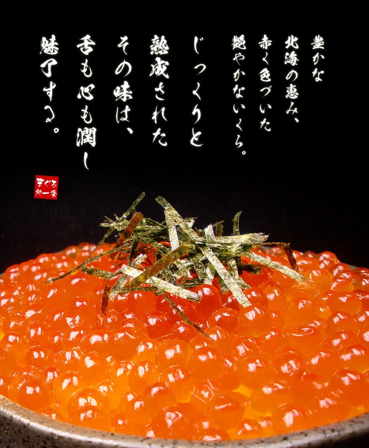 北海道産 いくら醤油漬け 500g [鮭イクラ500g]
