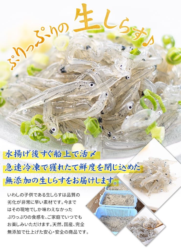 瀬戸内海産 生しらす（お刺身用）1kg（200g×5パック） [生シラス200g-5p]