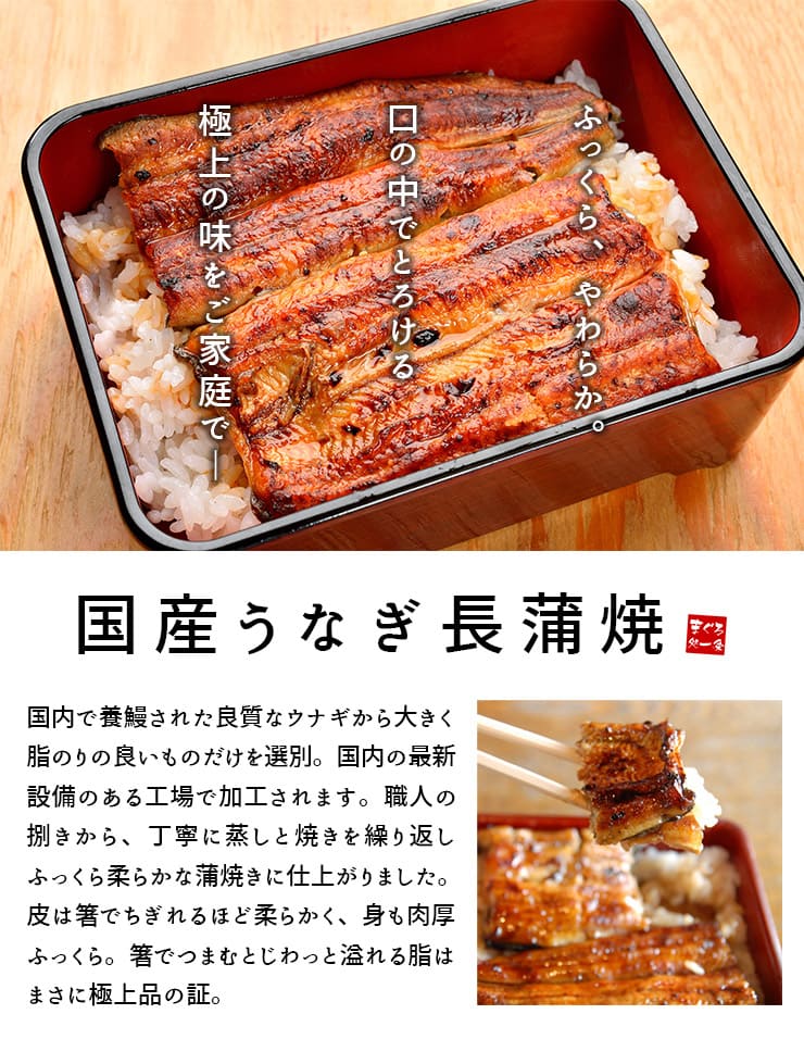 訳あり 国産 うなぎ 長蒲焼き(160g～170g)×4尾セット タレ・山椒つき [ウナギ長蒲焼き-4p]