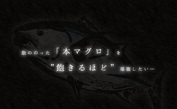 訳あり 本マグロ 中トロ 1kg [訳あり中トロ1kg]