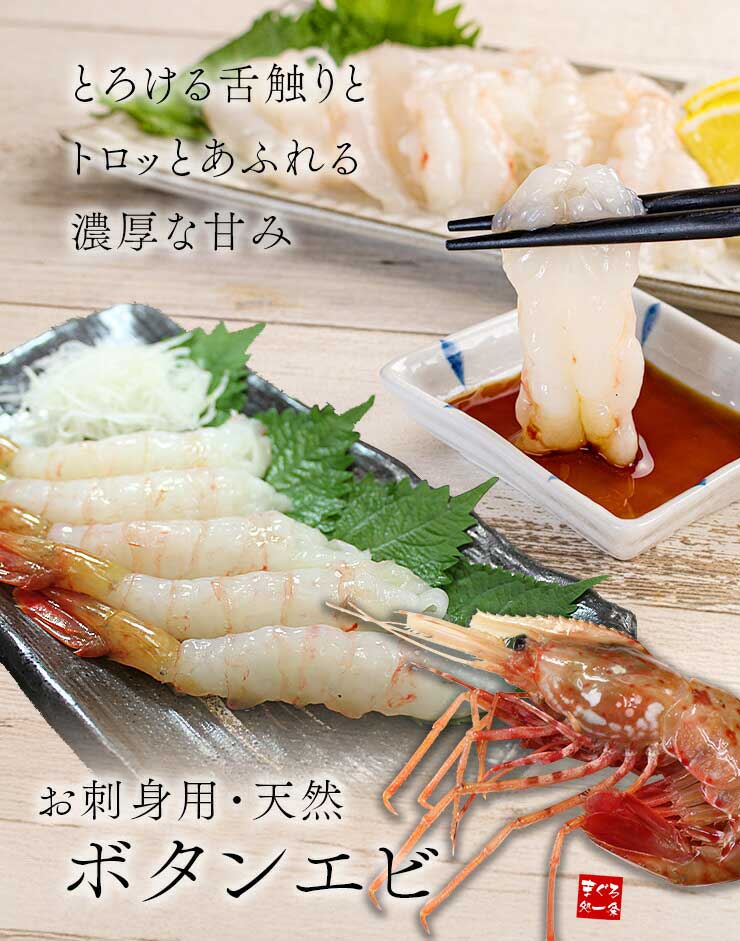お刺身用 ボタンエビ 1kg 20～32尾 [ぼたんエビ500g-2p]