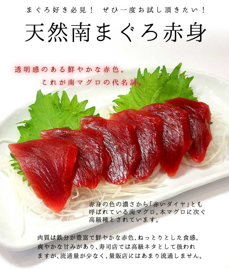 天然 南マグロ 赤身 500g 4～5人前 希少な天然物 不定形サク詰合せ 血合い処理済み 可食部ほぼ100% 解凍レシピ付 [天然南マグロ赤身500g]