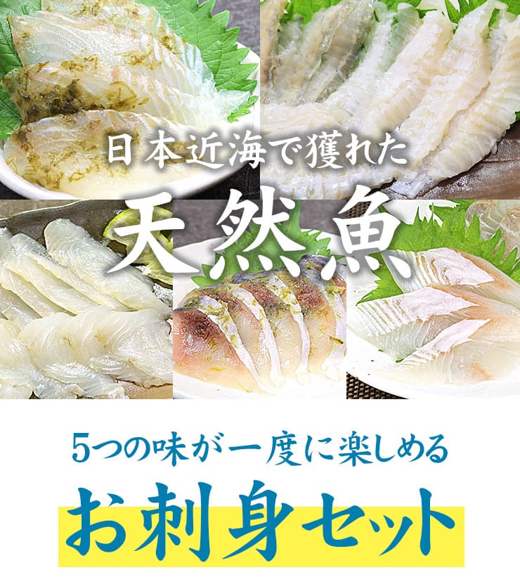 近海お刺身セット ひらめ ひらめ昆布〆 真子がれい さば昆布〆 平目えんがわ [近海お刺身セット]超速（ちょうそく）発送 1-3営業日以内に発送予定 土日祝除く