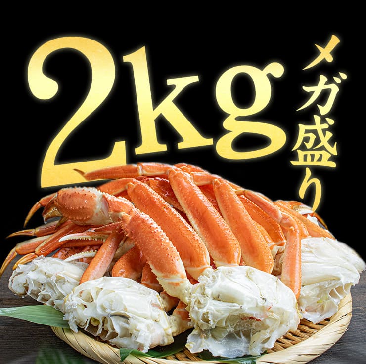ボイルずわい蟹 脚2kg（5~8肩） [ボイルズワイ蟹脚2kg]