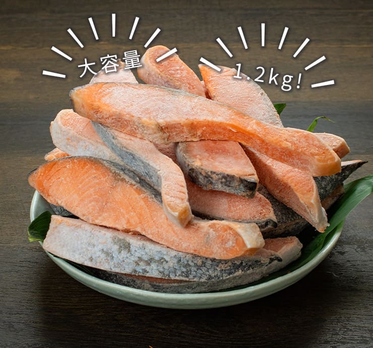 訳あり 銀鮭切り身 1.2kg (有塩･甘口) 20切前後 加熱用 チリ産 チャック袋入り シミ・身割れの切り身 [有塩_B級銀鮭切り身1.2kg]