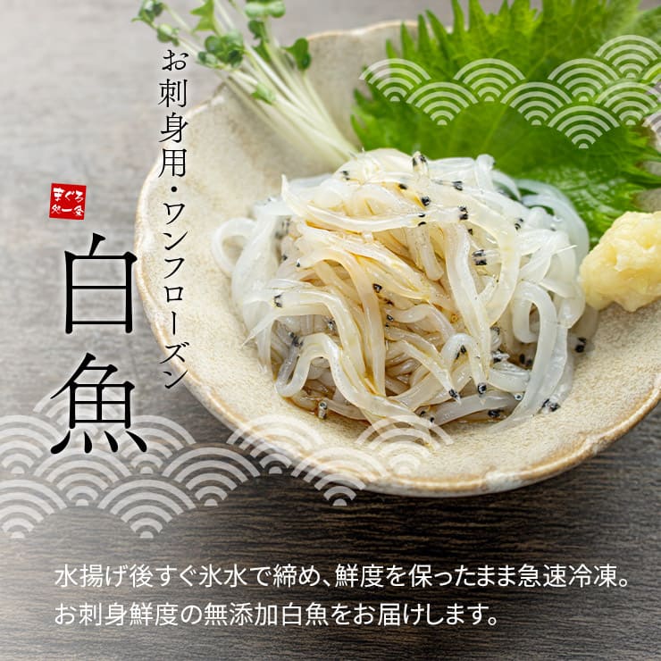 茨城県産 白魚 しらうお 200g お刺身用 [白魚200g]