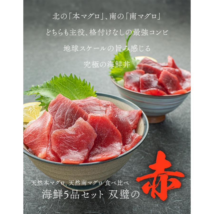 天然本マグロ＆南マグロ入り！海鮮セット「赤」海鮮5種 詰め合わせ 赤エビ 生小柱 ネギトロ 送料無料 (食べ物 父の日 敬老の日 お中元 ギフト プレゼント 刺身 セット 海鮮丼 oss)[[海鮮セット赤]超速（ちょうそく）発送 1-3営業日以内に発送予定 土日祝除く