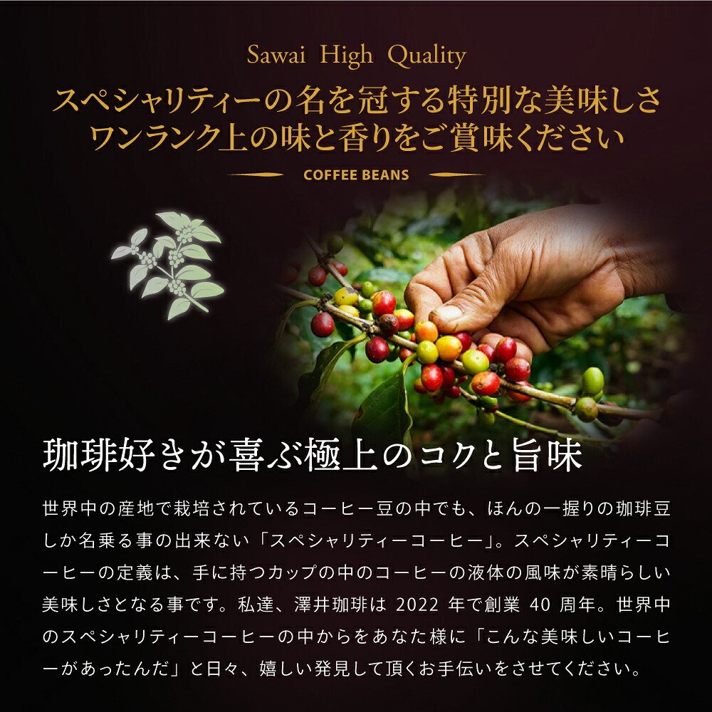 澤井珈琲 スペシャリティーコーヒー福袋 イエローマウンテン キリマンジャロ サントスプリンセス 1.3kg 3袋 130杯分 中挽き