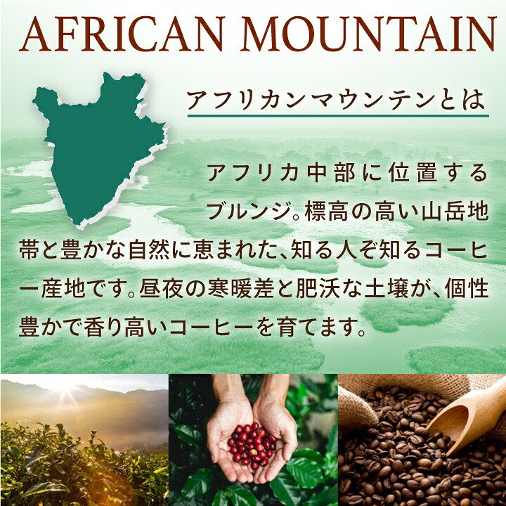 澤井珈琲 すっきり華やぐ珈琲豆 ブルンジ産 アフリカンマウンテン 200g×2袋 豆のまま