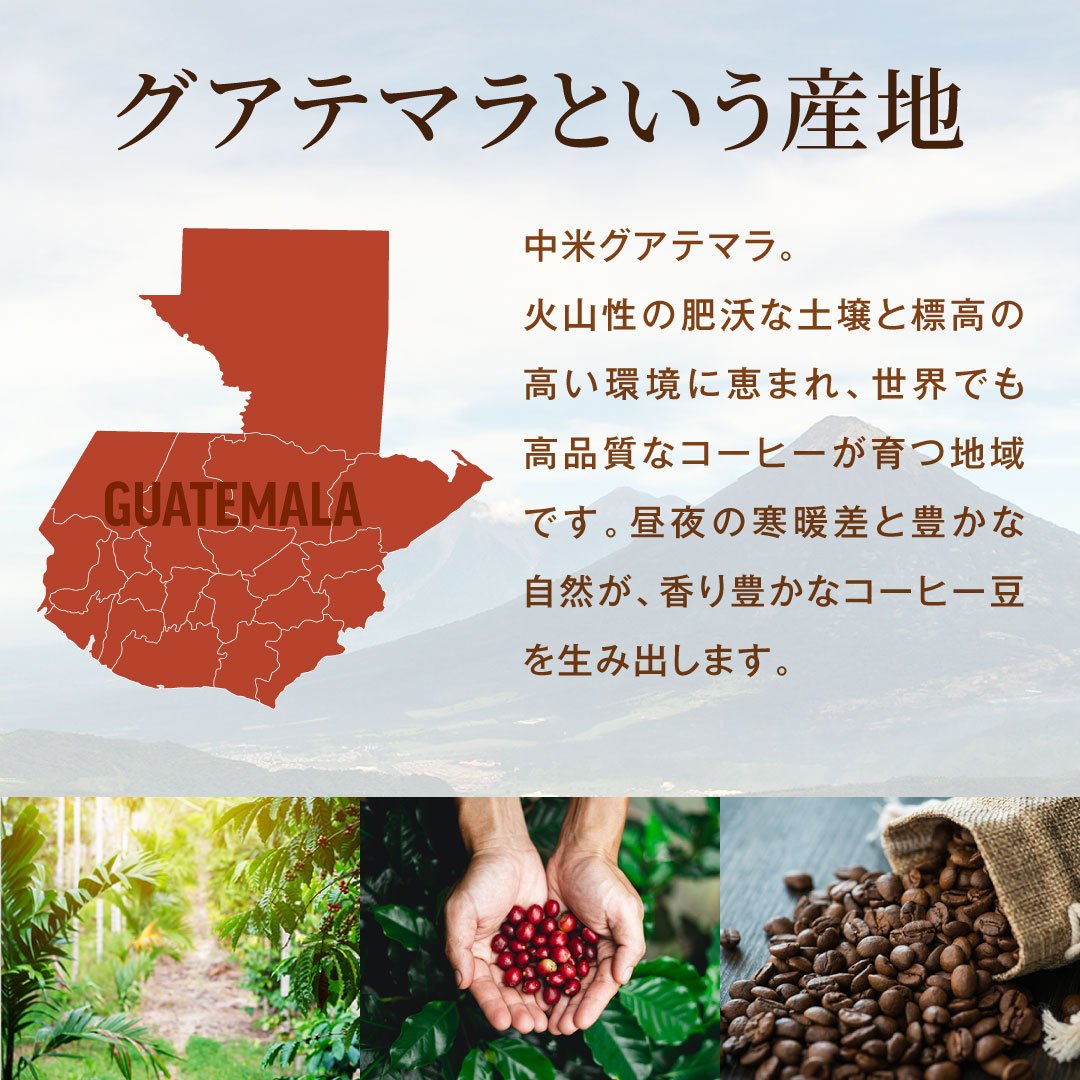 澤井珈琲 香り良くすっと飲める グアテマラ サステナブルコーヒー 200g×2袋 豆のまま