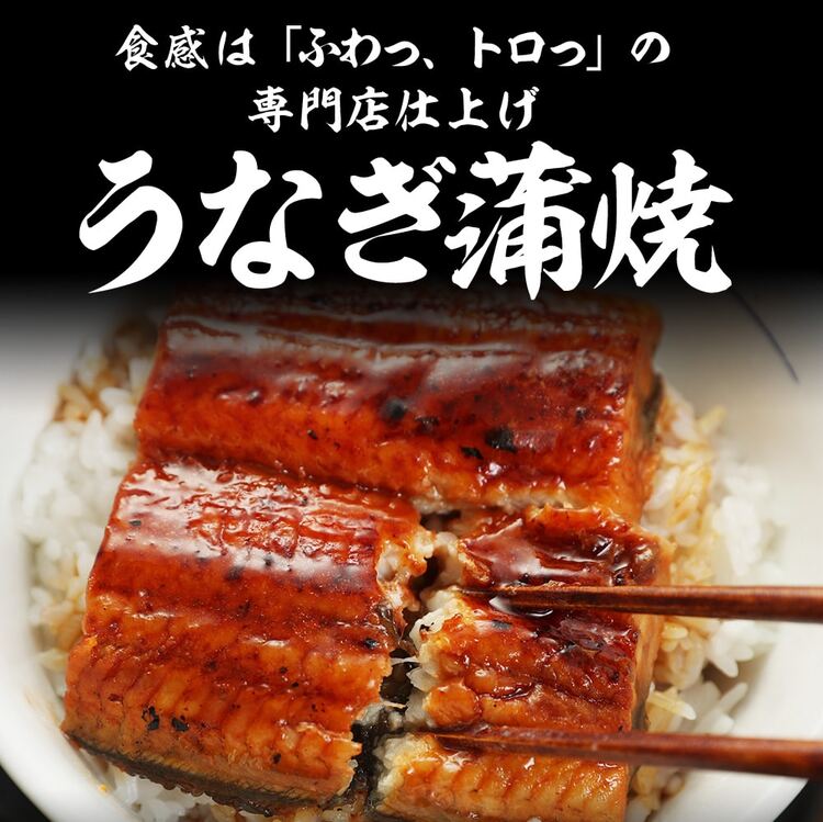 【松屋 公式】うなぎ6食 カット済み 鰻