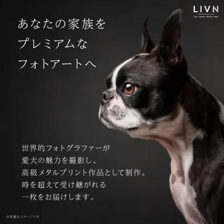 PREMIUN DOG PHOTO（ドッグフォトアート）A2相当　[ LIVN （リブン) ]
