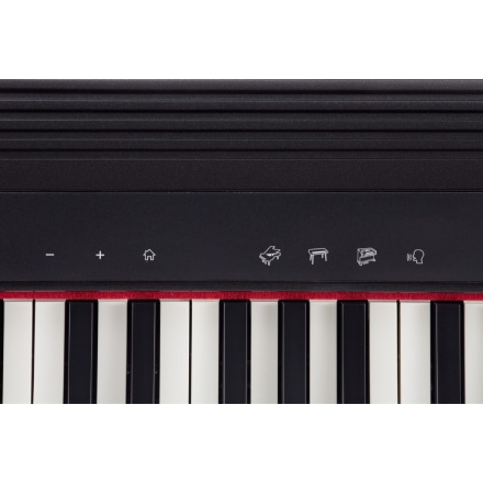 ローランド 61鍵電子ピアノ GO:PIANO