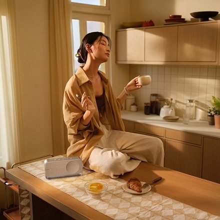 Bose SoundLink Home Bluetooth Speaker ライトシルバー SLink Home BT SP SLV