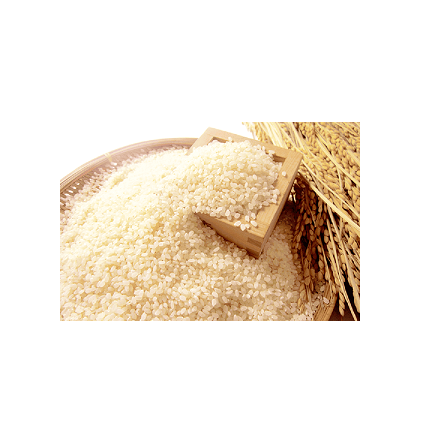 栃木県 コシヒカリ 5kg 令和7年産