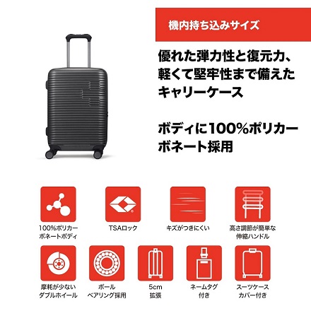 スイスミリタリー モティバン 55cm SM-H320EP-GRAY カーボングレー