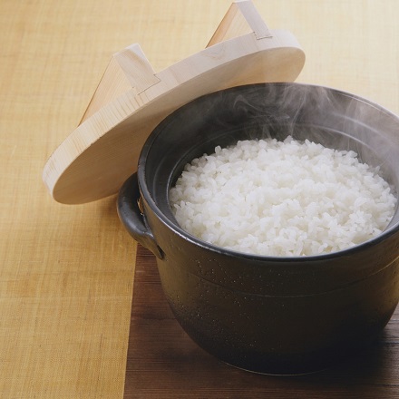 【８月中旬発送予定】高知県産 こしひかり 5kg 令和８年産
