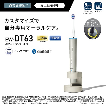 パナソニック 音波振動ハブラシ ドルツ EW-DT63-N シャンパンゴールド