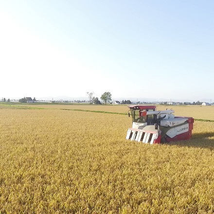 北海道産きらら３９７　10kg