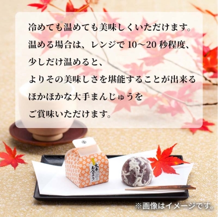 大手まんぢゅう15個入