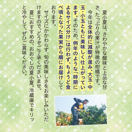 贈答用 夏小夏（ナツコナツ）1.5ｋｇ 送料込み