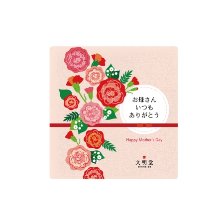 カーネーション「 いちごソフト（Ｒ） 」＋文明堂カステラセット 「 いちごソフト（Ｒ） 」［サイズ（約）＝高さ35cm 鉢／直径15cm（5号鉢） 母の日 送料込み