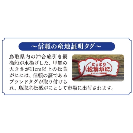 鳥取県産 松葉がに（朝茹で）Ｂ 700ｇ