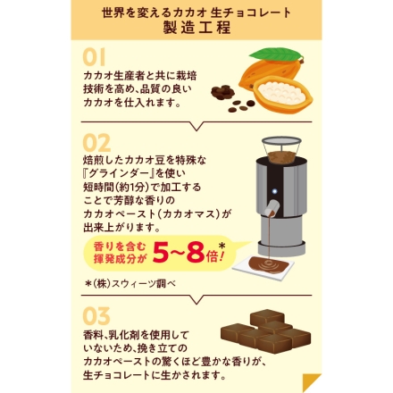 世界を変えるカカオ 生チョコレート 2種×5個