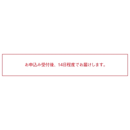 冷凍 北海道生チョコレート 12個×2箱