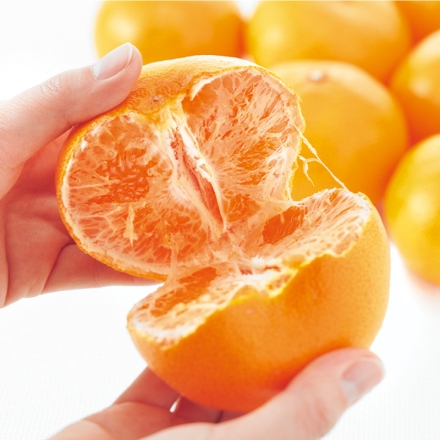 家庭用 せとか2ｋｇ