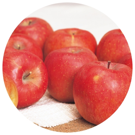 家庭用 サンふじ5ｋｇ