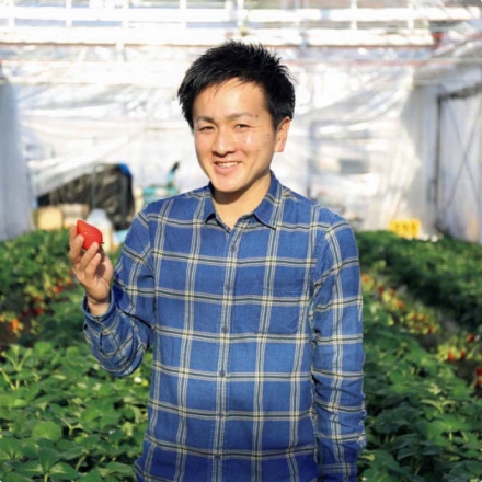 栃木のいちご4品種 食べ比べセット