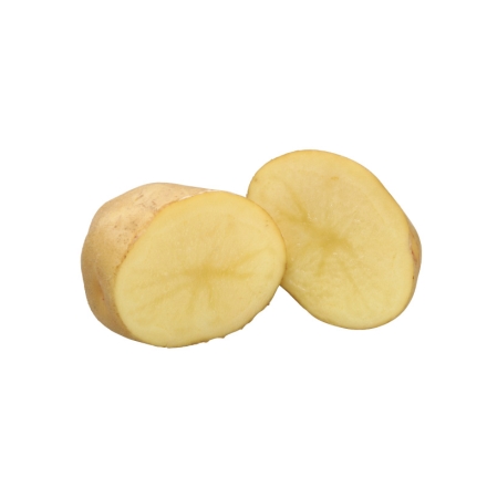 越冬 北あかり 3ｋｇ