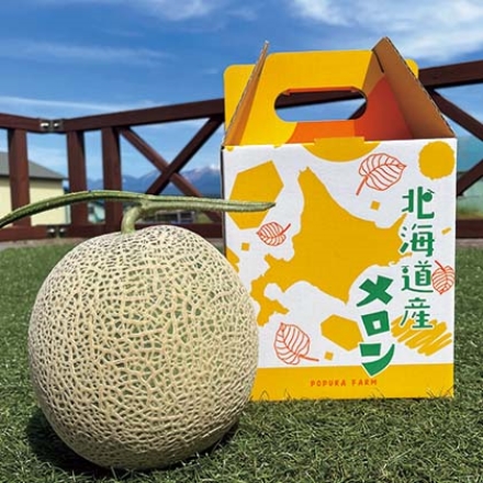 富良野メロン大玉 1個入
