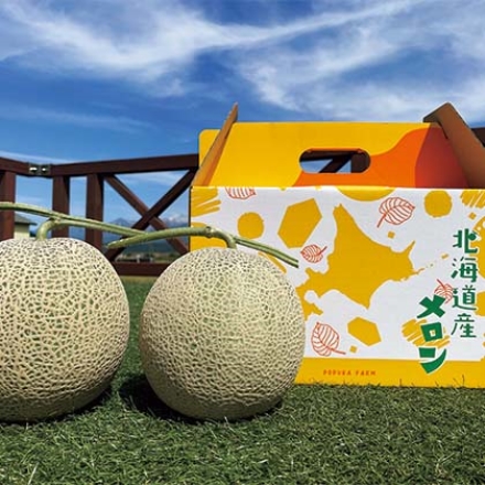 富良野メロン中玉 2個入