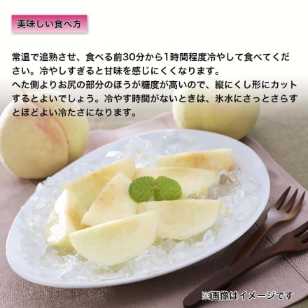 岡山白桃 1.4ｋｇ