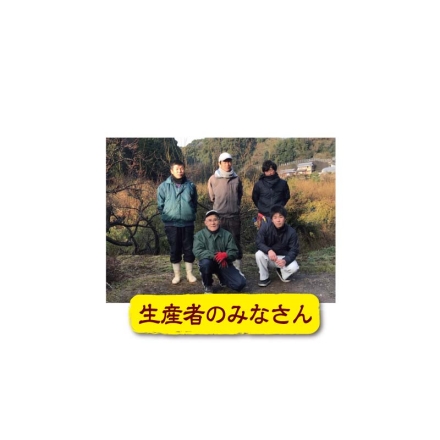 熊野ファーム 紀州南高梅「 しそかつお 」梅干 １kg